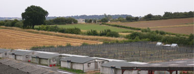 northamptonshire game birds